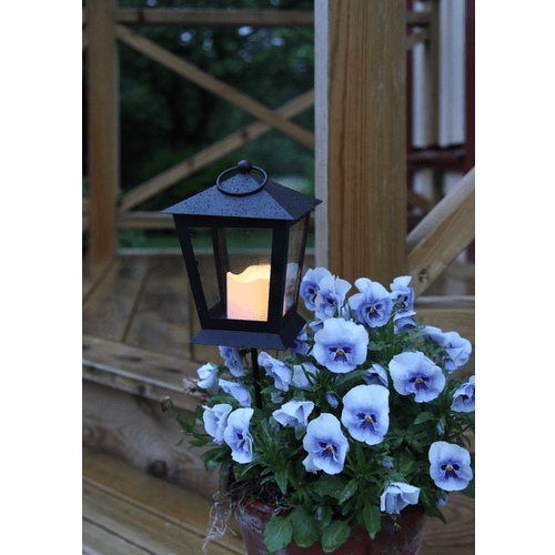 Star Trading Grave Candle Serene Lykta 40cm